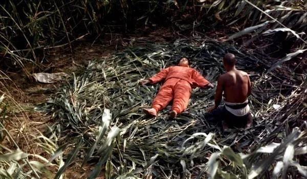 红高粱原著余占鳌吃的什么肉,原著红高粱写九儿和余占鳌