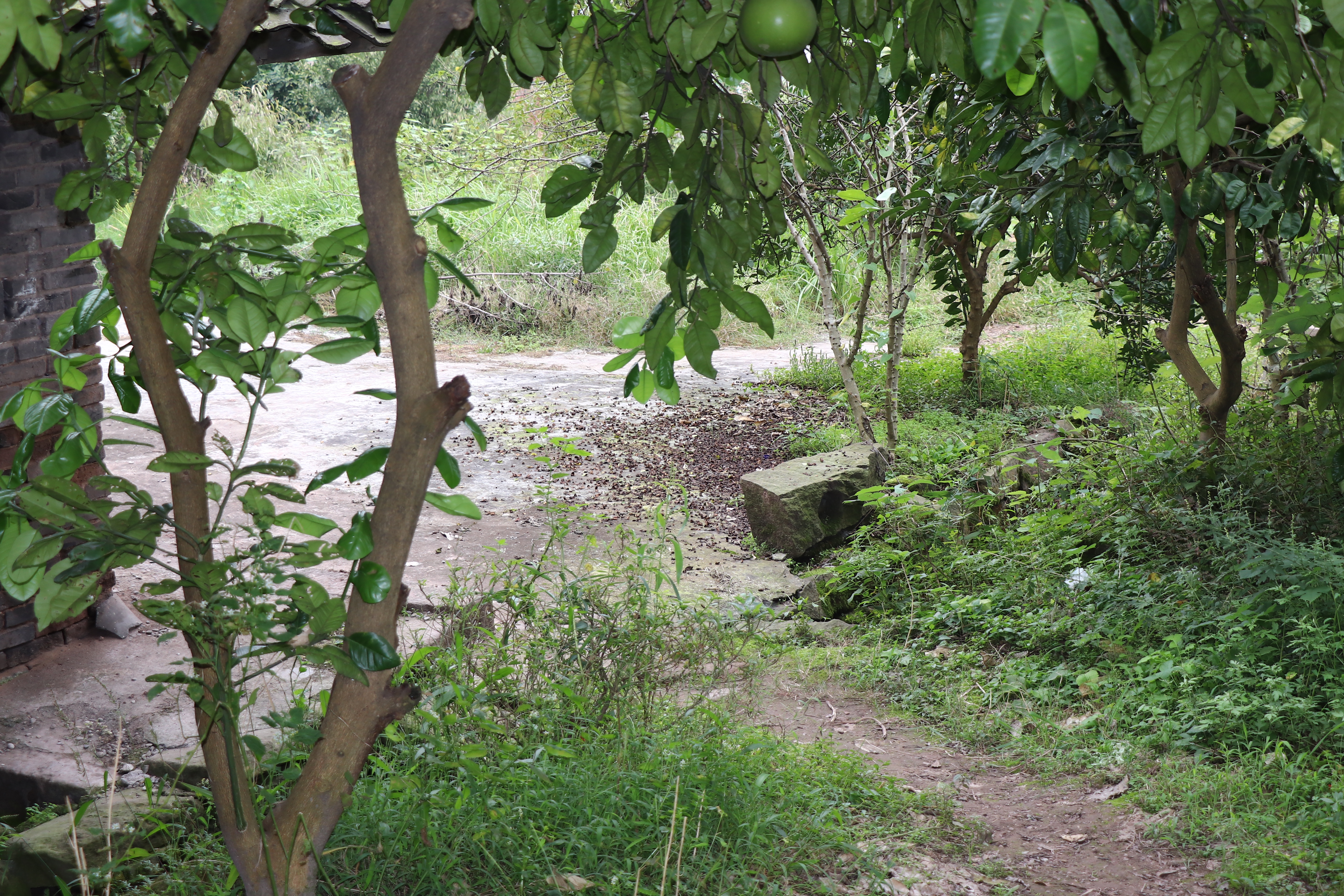 回到初次创业的地方感悟,回农村创业有什么出路