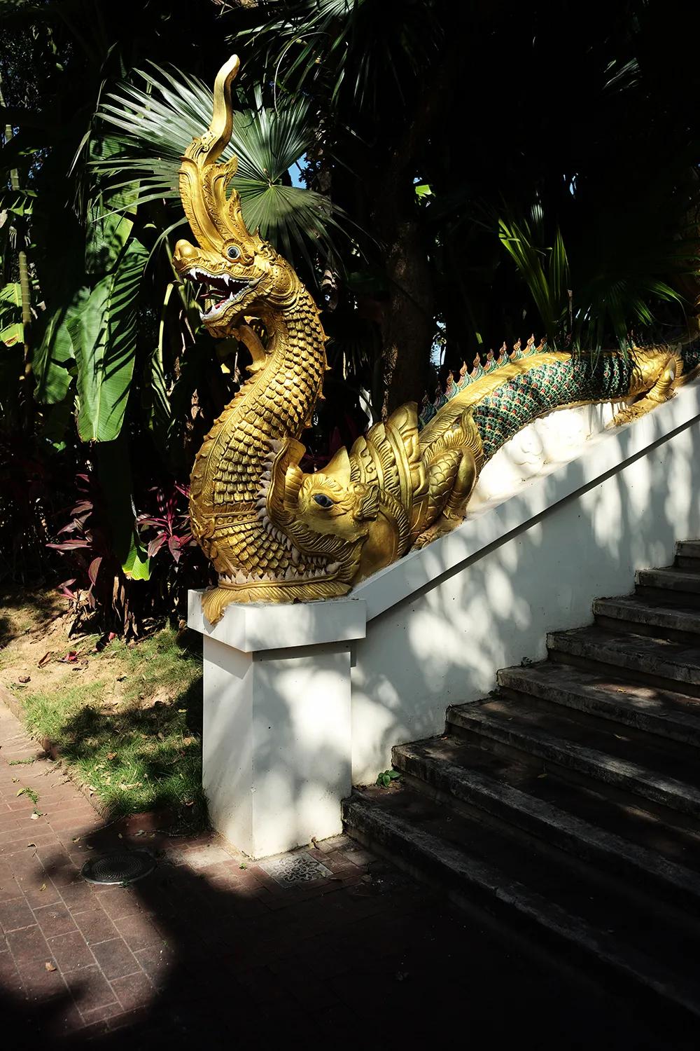 西双版纳3000家酒店，怎么选体验感才最好？