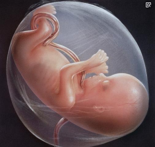 怀孕最怕脐带打结,孕期最怕胎儿脐带绕颈怎么避免