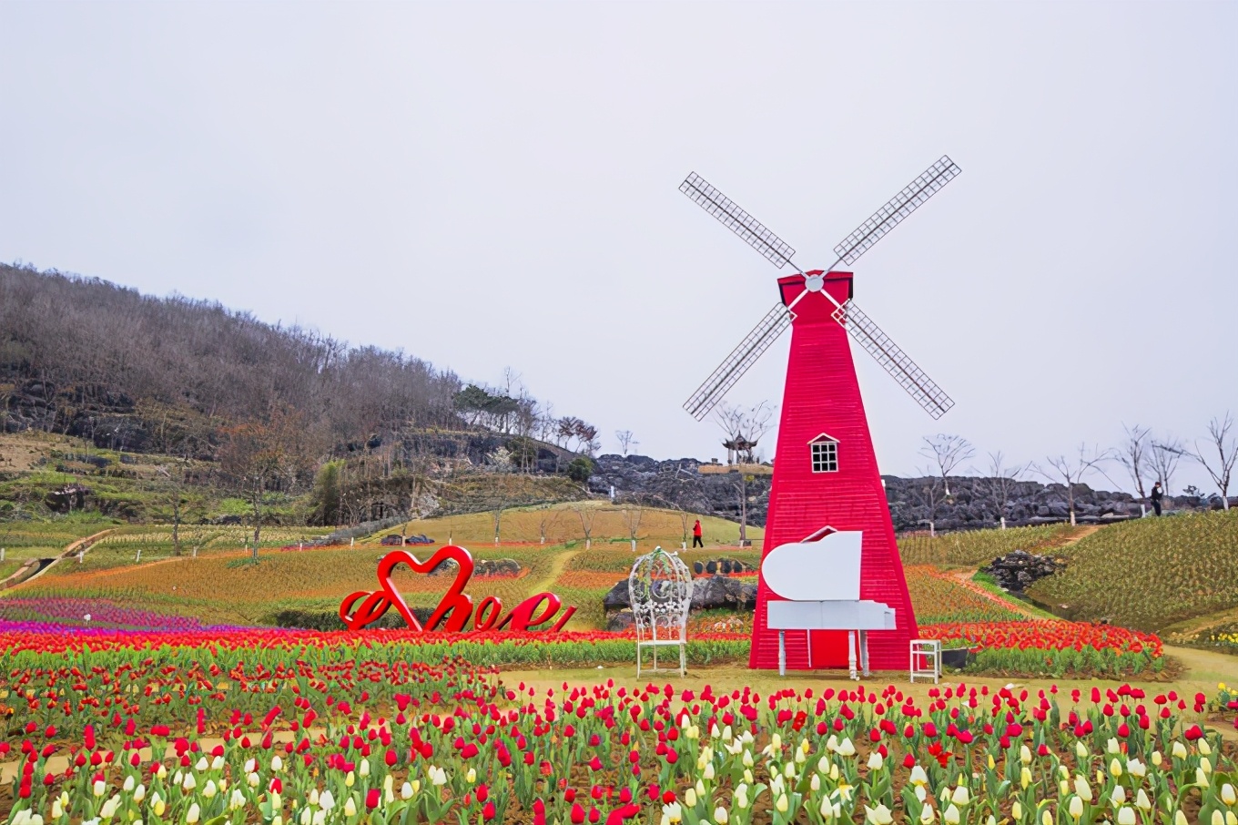黄山西递古村落景点简介,黄山市西递古村落图片
