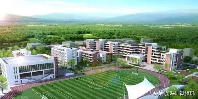 宝龙街道公办中小学,宝龙学校最新规划