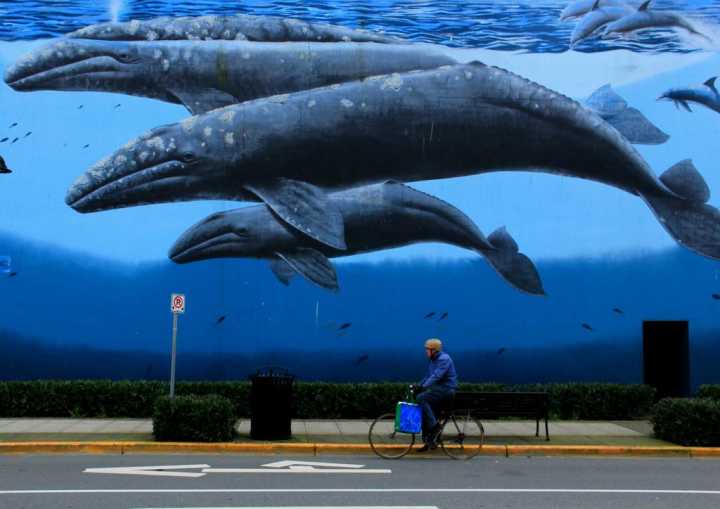 有哪些非常冷门的冷知识,那些非常冷门但实用的冷知识