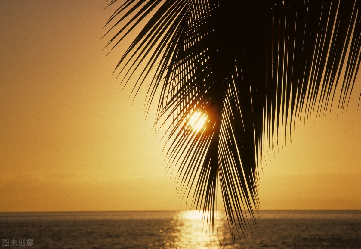 野钓鲫鱼绝密技巧大全,野钓钓鲫鱼技巧详解全攻略