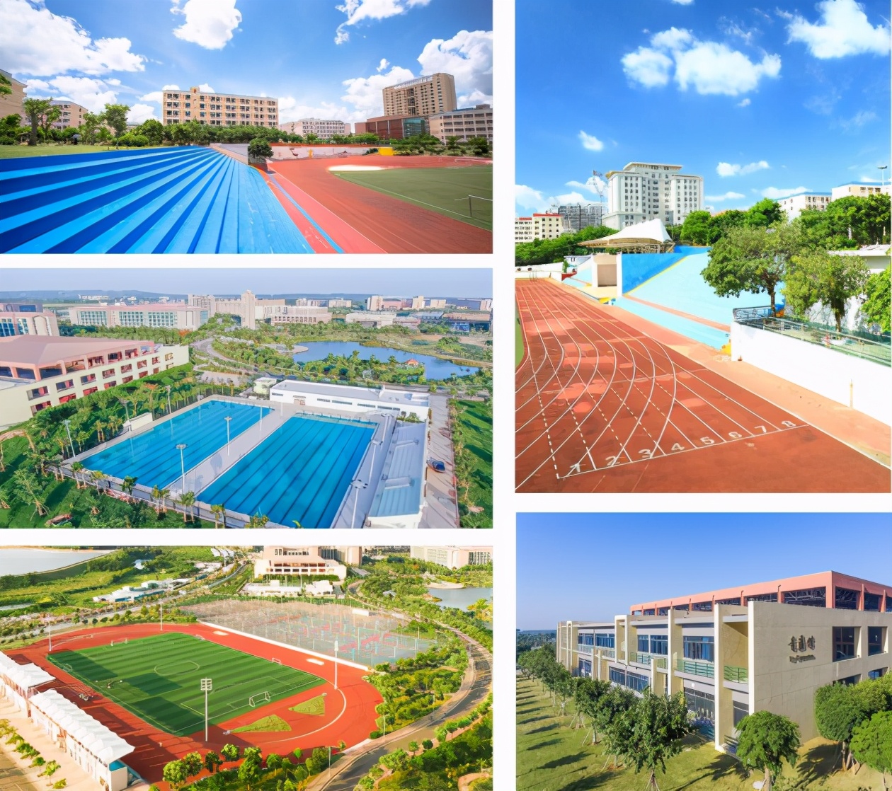 湛江科技学院2024年,湛江科技学院定位