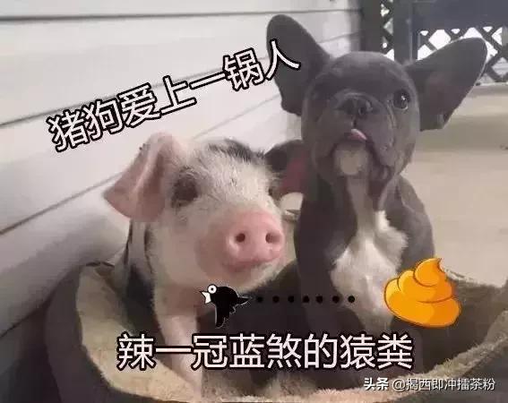 广东人说普通话上热搜,广东人讲普通话的精彩时刻