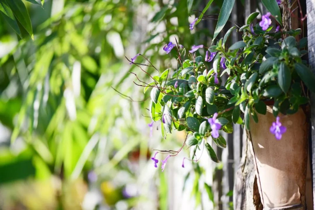选择中医董洪涛,董洪涛谈中医专家