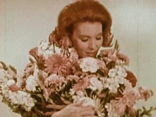 精油买哪一款比较好,必入的两款精油