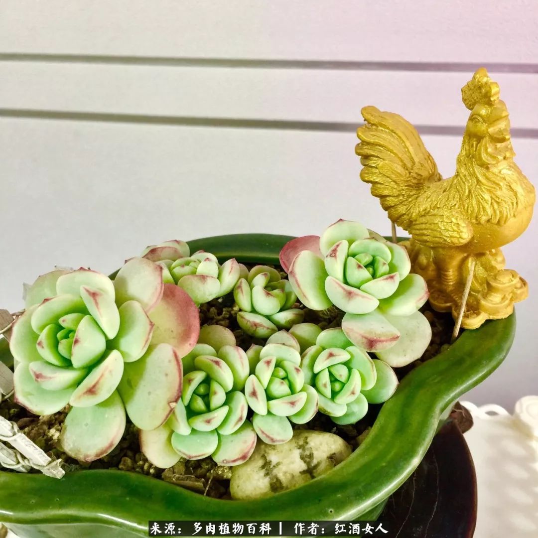 记录走过的美景留下美好的回忆,记录走过的每一段美好时光