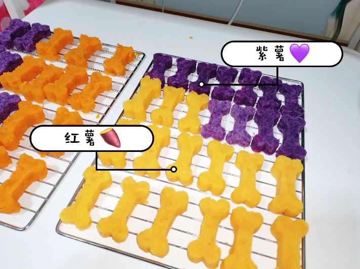 新手养宠必备知识点,新手养甲攻略