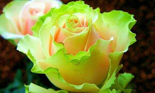 人要吃得苦中苦方为人上人,吃得苦中苦方为人上人的人