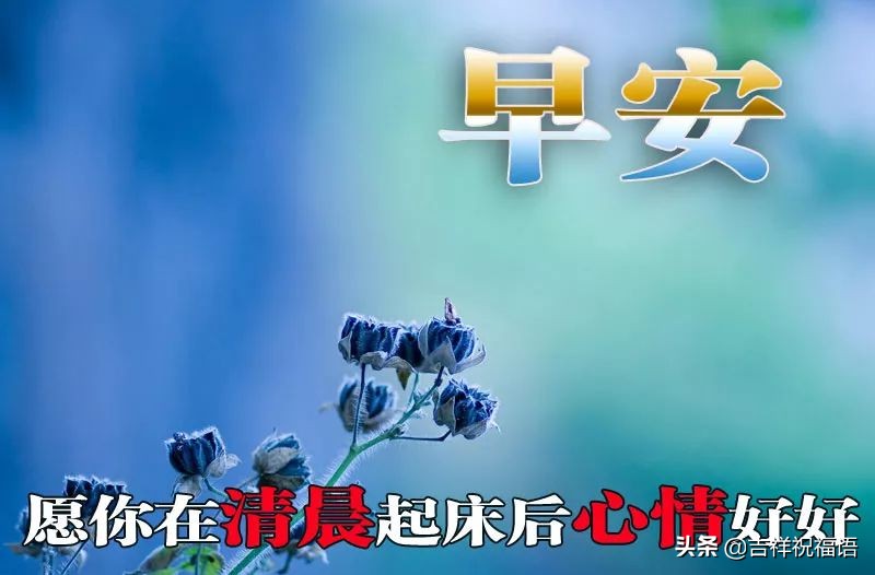 早晨问候语早上好微信短语,清晨最新早上好问候祝福语句