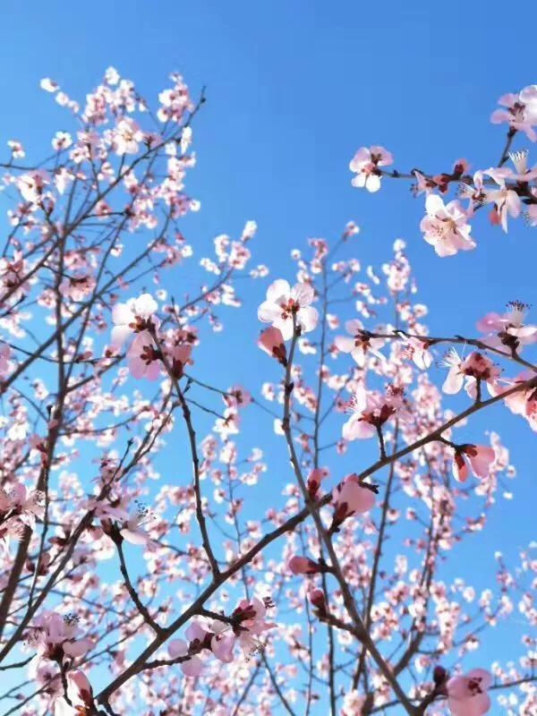 手拍世界完整版视频,手拍世界作品专集