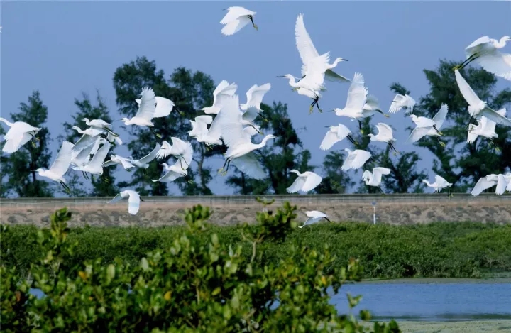 北海哪个地方负氧离子含量比较高,北海北岸和南岸负氧离子含量高
