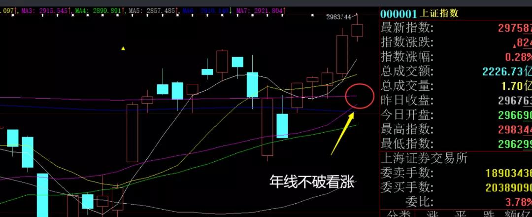 午评牛市盛况千万新股民,a股骑牛午评