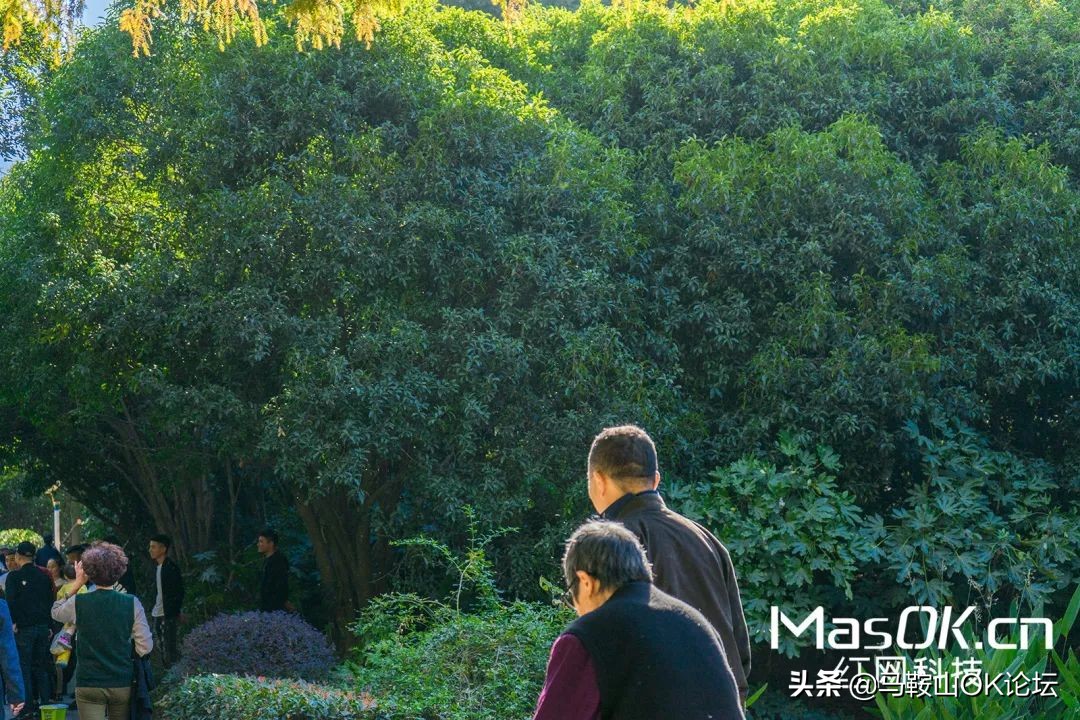 体验在安徽生活二十年,在马鞍山生活的经历