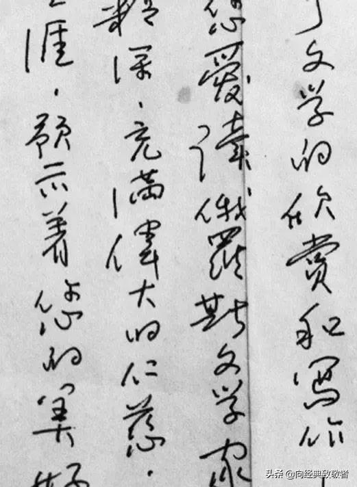 木心谈木心读后感800字,推荐木心文学回忆录