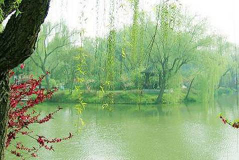 沾衣欲湿杏花酒不寒杨柳风,沾衣杏花雨吹面不寒杨柳风意思