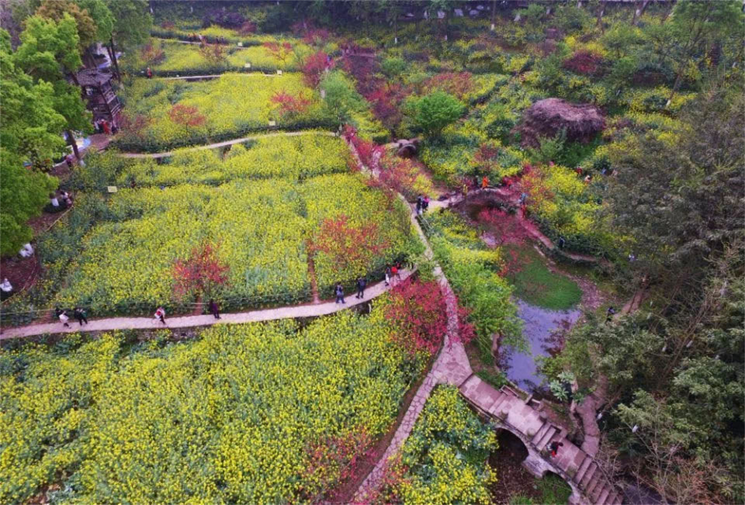 四川美术学院，自由开放的大学，却因风景太好被称为“农村”