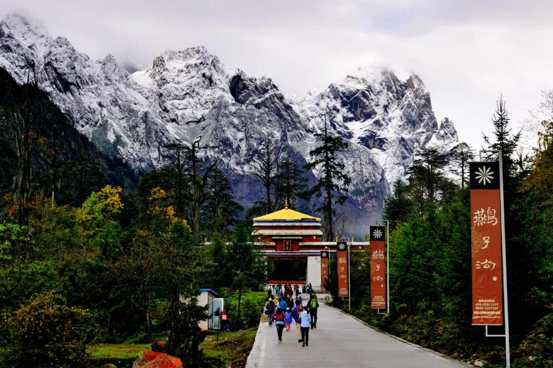 燕子沟最新视频,燕子沟未解之谜