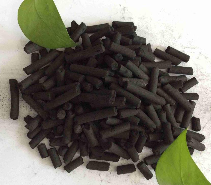 狗狗满屋尿尿怎么办,去除狗狗尿骚味的妙招