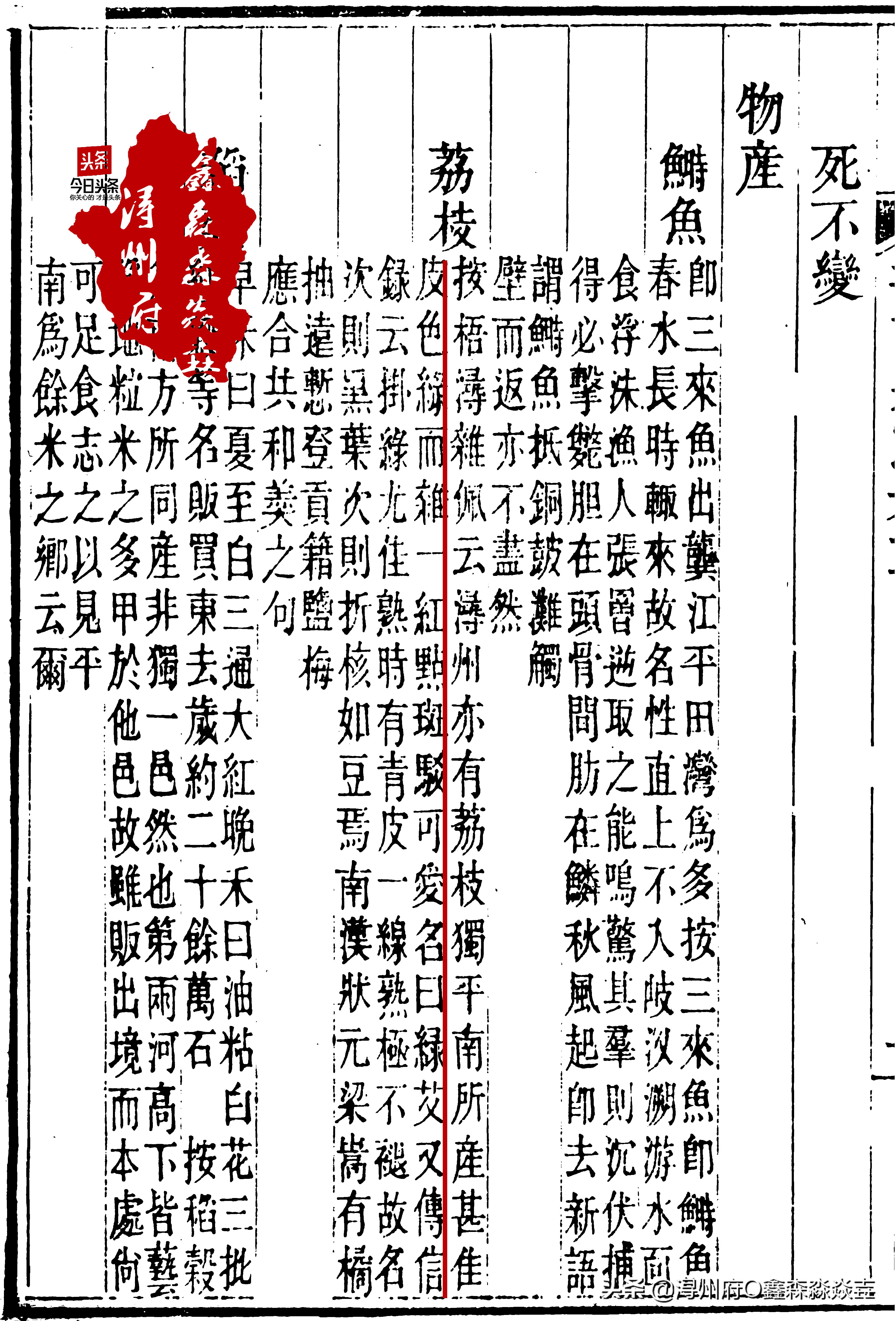 桂平麻垌中国荔枝之乡的石碑,麻垌荔枝之乡在哪里