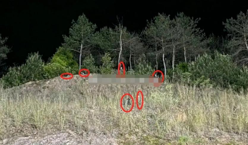 杨幂被拍素颜照,杨幂遭工作室曝光素颜照