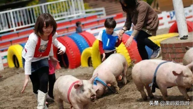 亲子游路线2-3天,湖北恩施亲子游攻略路线推荐