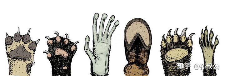 孙叔公治灰指甲有效吗,孙叔公治甲周疣有用吗