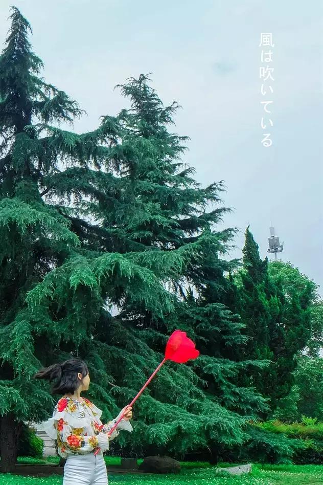 50-60岁秋景拍照摆姿,40至50岁拍照如何摆姿