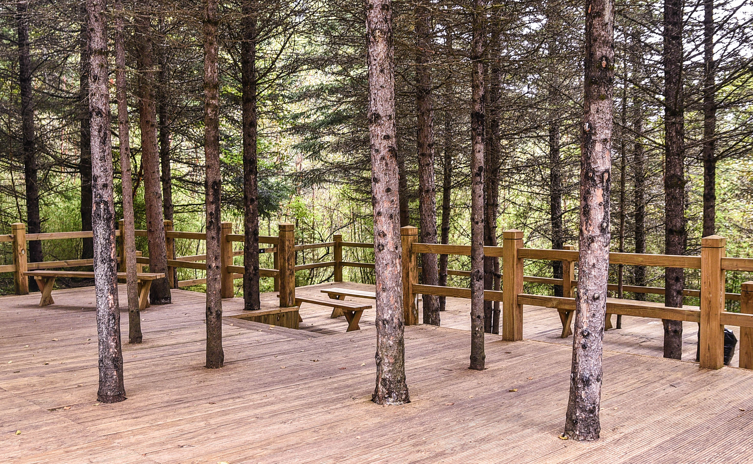 秋天九寨沟最美的季节,秋天九寨沟美景图片