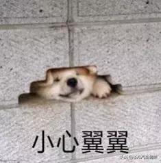 西安房产证丢了好补吗需要多少钱,西安房产证丢失如何补办