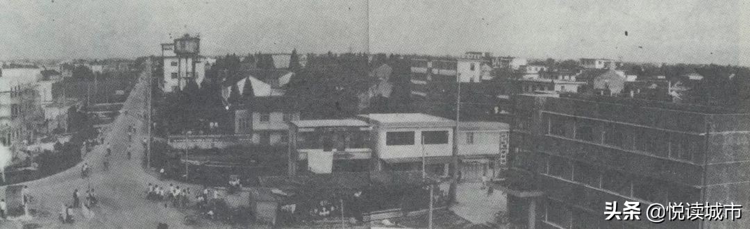 金秋赏“金”：新老照片对比金山发展老金山都不一定认得全