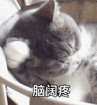 佳能1000倍变焦望远镜,真会玩在线观看