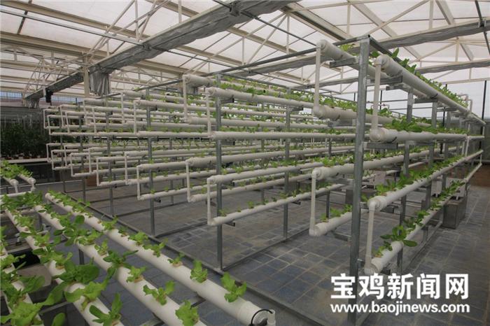 宝鸡新闻网带你去体验拥有世界最大标准间的酒店