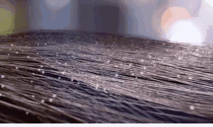 让你的卫生间变得整洁,实用又好的洗发水推荐