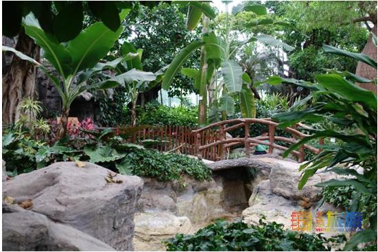 京城这些好地方您还没去？抓紧行动，下雨天才是正确打开方式！