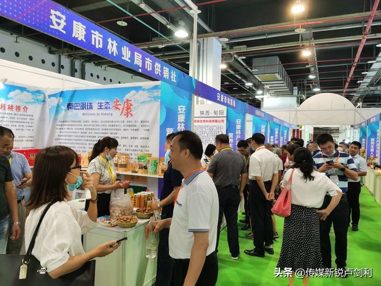 签约6.6亿!陕南安康林产品走进全国(上海)森交会结硕果
