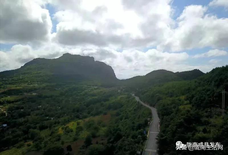 我叫成县，这是我2019年的自拍照