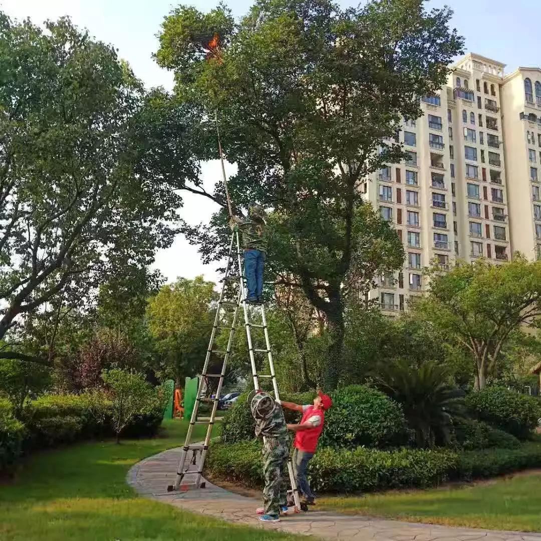 一位外地来的墙纸工，努力多少年，可以买上车子房子？