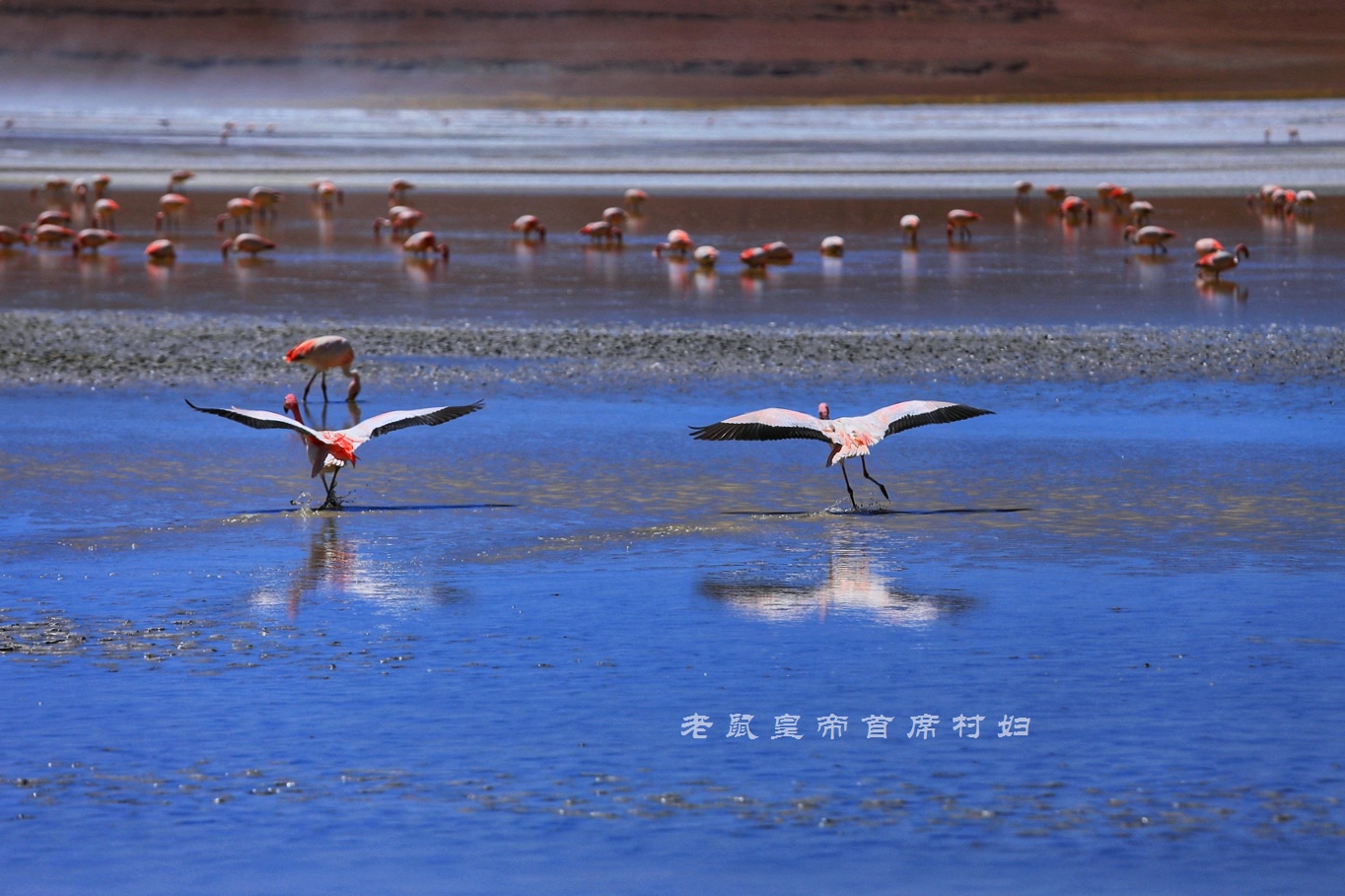 玻利维亚天空之镜无滤镜,玻利维亚看天空之镜