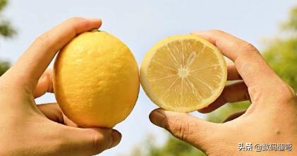 在家做鱼，但是鱼腥味很难去掉，加一点点柠檬，鱼肉不腥也鲜美