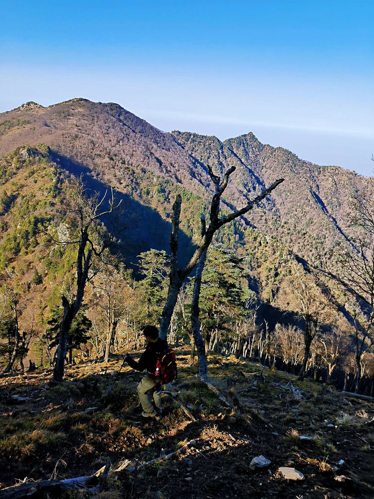 20201101惊悚之行~首阳山大坪梁单日横穿+原返