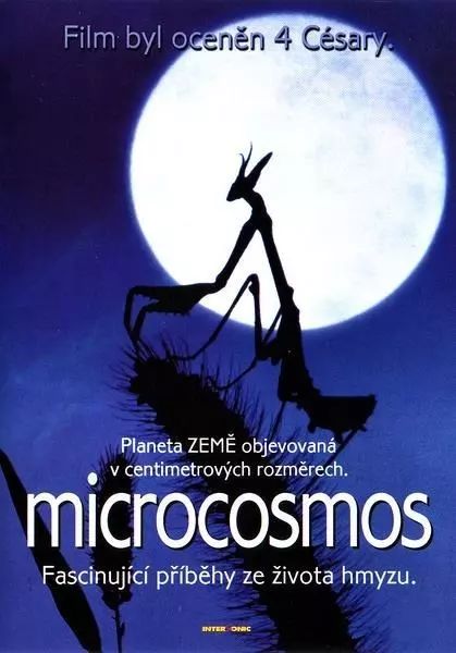 看什么纪录片能让孩子爱上学习,让孩子成绩暴涨的五部寒假纪录片