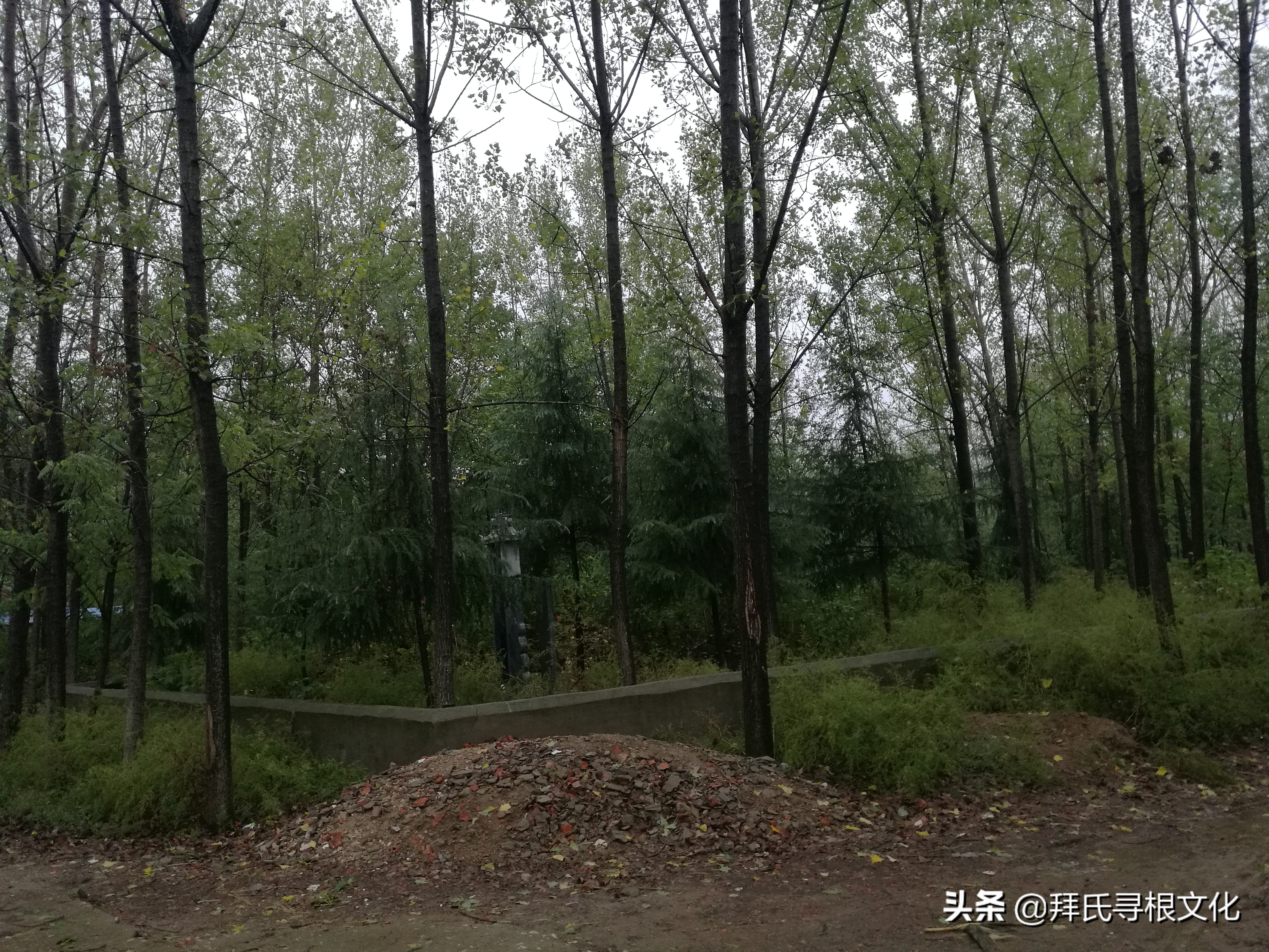 风雨泰和“转楼”