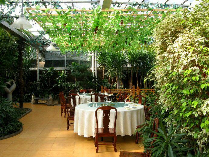 偷得浮生半日闲广东,偷得浮生半日闲鼎湖山之旅