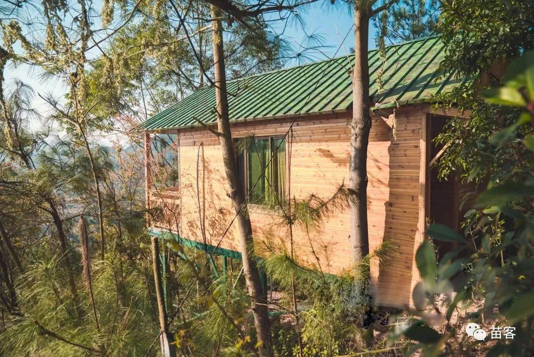 微时光田东,微时光美好生活