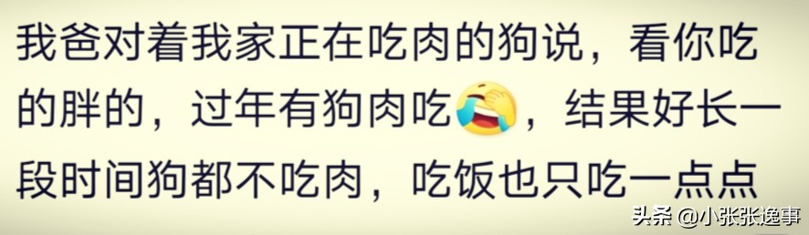 狗狗太肥了怎么才能给它减肥呢,爷爷说狗狗太胖了要减肥