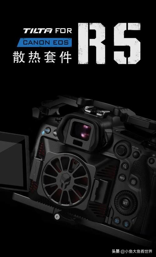 索尼a7r3画质对比佳能eos5d4,索尼a7r3和佳能r5对比哪个好