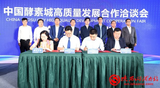 中国酵素城核心区,中国酵素城规划